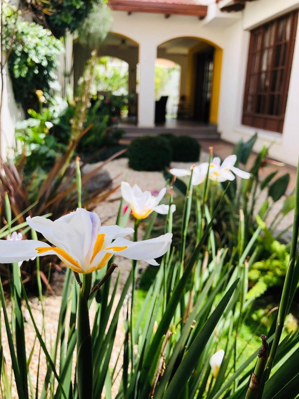 Hotel Boutique La Casa De Margarita โกชาบัมบา ภายนอก รูปภาพ